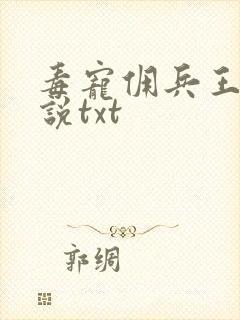 毒宠佣兵王妃小说txt