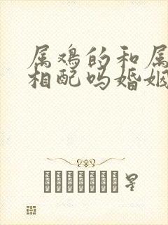 属鸡的和属龙的相配吗婚姻