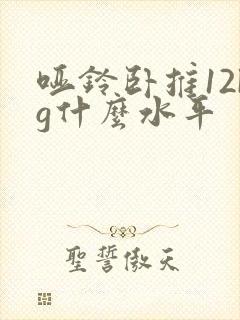 哑铃卧推12kg什么水平