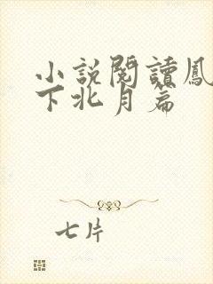 小说阅读凤逆天下北月篇