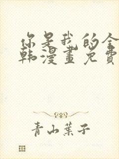 你是我的全世界韩漫画免费