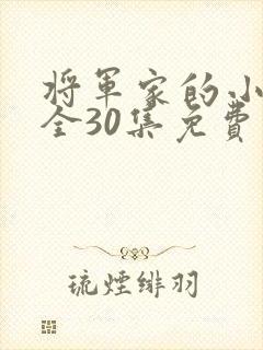将军家的小娘子全30集免费观看