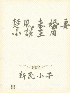 楚风未婚妻楚芸小说主角