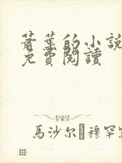 萧叶的小说全文免费阅读封面