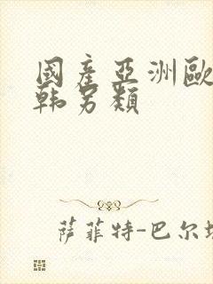 国产亚洲欧美日韩另类