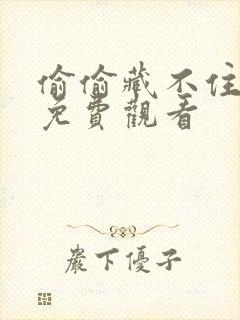 偷偷藏不住短剧免费观看