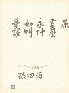 爱如永昼原著小说叫什么