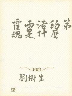 霍雨浩的第二武魂是什么封面