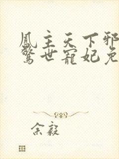 凤主天下邪王的惊世宠妃免费阅读封面