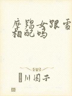 摩羯女跟处女男相配吗