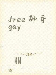 free 帅哥gay