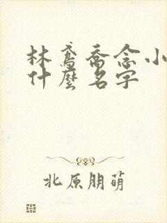 林鸢乔念小说叫什么名字