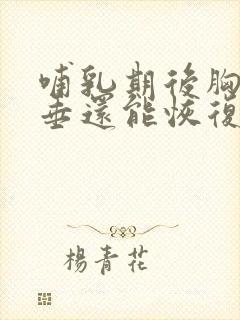 哺乳期后胸部下垂还能恢复吗