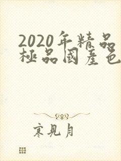 2020年精品极品国产色在线