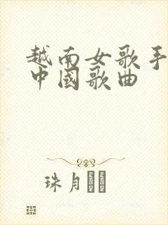 越南女歌手翻唱中国歌曲