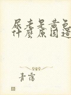 尿老是黄色的是什么原因造成的封面