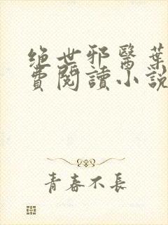 绝世邪医叶凡免费阅读小说