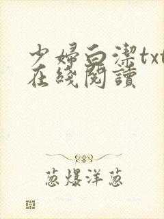 少妇白洁txt在线阅读