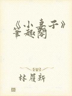 《小妻子》云间笔趣阁