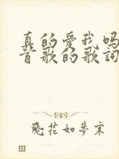 真的爱我吗是哪首歌的歌词