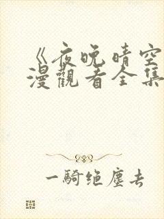 《夜晚晴空》动漫观看全集高清