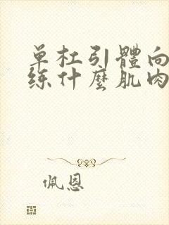 单杠引体向上是练什么肌肉的