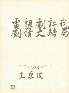 电视剧许我耀眼剧情大结局封面