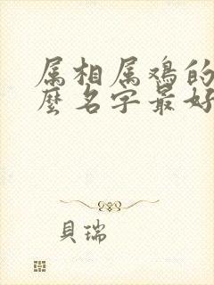 属相属鸡的取什么名字最好