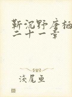 靳沉野唐栖雾第二十一章封面