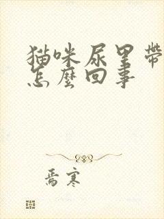 猫咪尿里带血是怎么回事