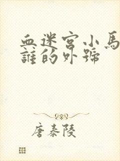 血迷宫小马哥是谁的外号