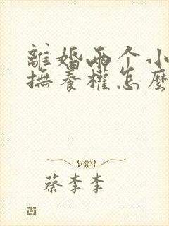 离婚两个小孩子抚养权怎么判定封面