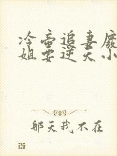 冷帝追妻废材小姐要逆天小说完整