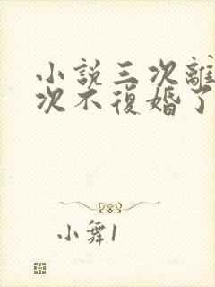 小说三次离婚这次不复婚了免费阅读