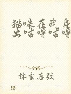 猫咪在我身边发出咕噜咕噜的声音