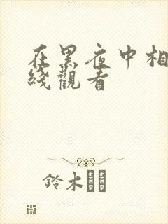 在黑夜中相遇在线观看