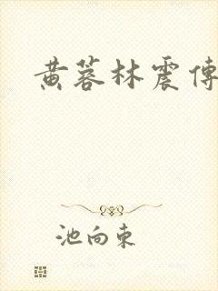 黄蓉林震传续集封面