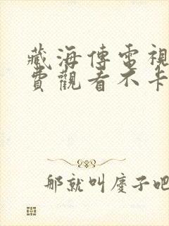 藏海传电视剧免费观看不卡完整版