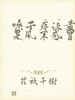 嗓子疼流黄鼻涕是风寒感冒还是风热感冒