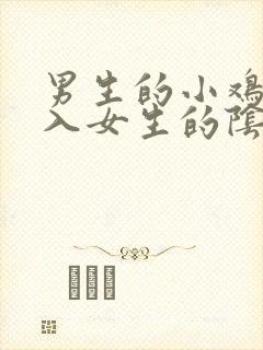 男生的小鸡鸡插入女生的阴道里