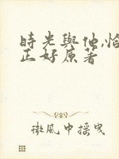 时光与他,恰是正好原著封面