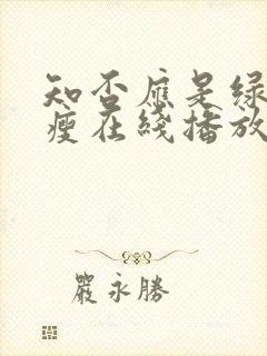 知否应是绿肥红瘦在线播放