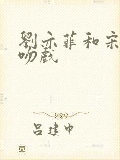 刘亦菲和宋承宪吻戏