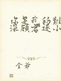 你是我的难得情深顾君逐小说