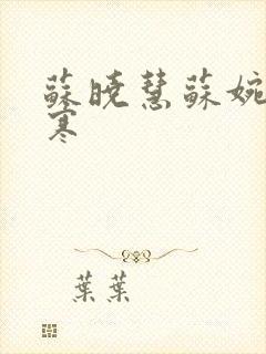 苏晓慧苏婉霍枭寒