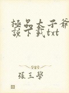 极品太子爷 小说下载txt