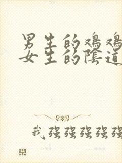 男生的鸡鸡插入女生的阴道