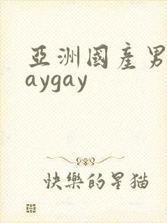 亚洲国产男同gaygay封面