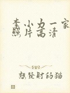 李小力一家三口照片高清