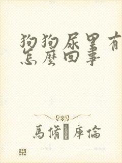 狗狗尿里有血块怎么回事封面